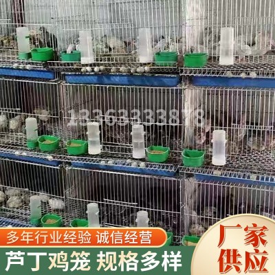 芦丁鸡笼厂家供应镀锌小型鸡笼侏儒鸡笼养殖小型鸟类自动化养鸡笼图2