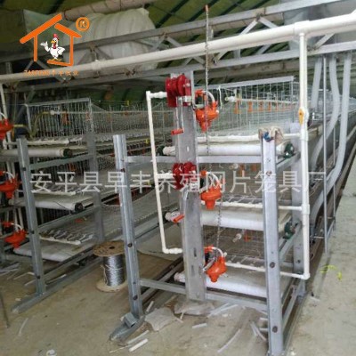 厂家供应耐锈肉鸡笼全新养殖设备自动化肉鸡笼子耐磨图3