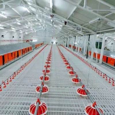 厂家供应自动化养殖肉鸡笼养设备框架肉鸡笼层叠肉鸡笼立式肉鸡笼