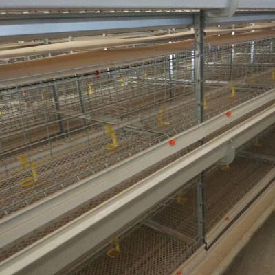 厂家供应养殖业鸡笼子加粗四门肉鸡笼小层叠四层肉鸡笼子图2