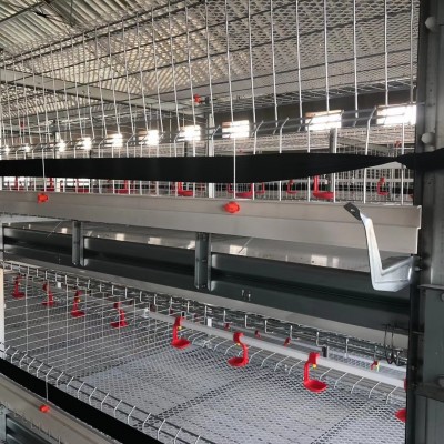 厂家供应养殖业鸡笼子加粗四门肉鸡笼小层叠四层肉鸡笼子图4