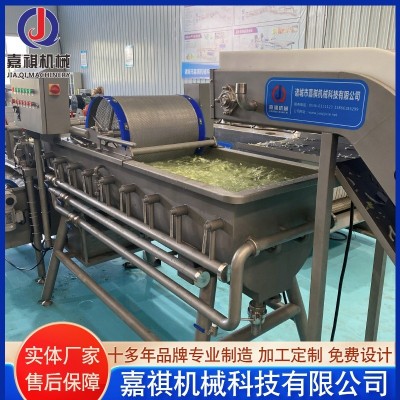 番茄蓝莓清洗设备 娃娃菜西蓝花卷心菜机器 喷淋式涡流清洗机图2