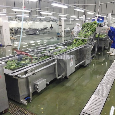 绿驰商用果蔬气泡清洗机高压喷淋式大姜清洗设备 豆角清洗机图5