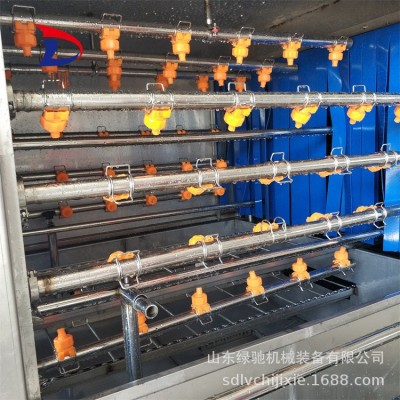 绿驰商业定制洗筐机 高压喷淋三段式清洗机 食品厂塑料筐清洗设备图2