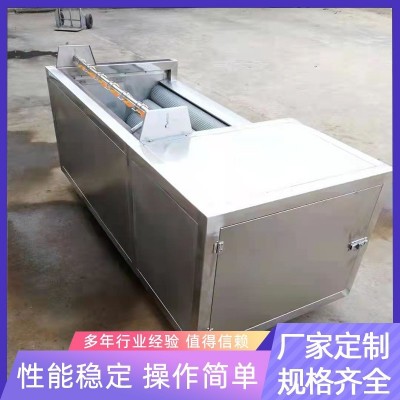 大姜毛辊去皮清洗机 红薯清洗机 土豆清洗去皮 萝卜抛光设备