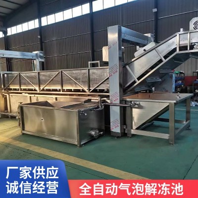 冷冻海鲜牛肉气泡解冻池 冻肉块清洗解冻机 水浴式化冻图3