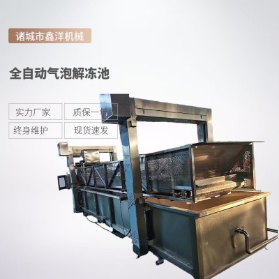冷冻海鲜牛肉气泡解冻池 冻肉块清洗解冻机 水浴式化冻图2