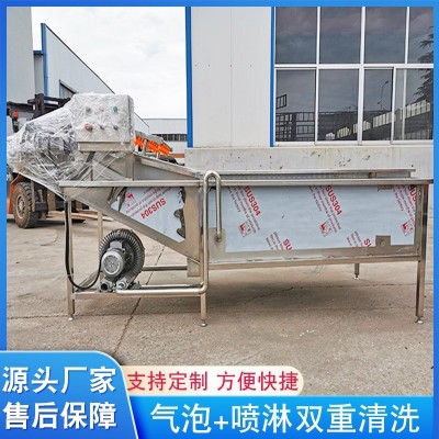 秋葵叶菜类蔬菜清洗机 商用蔬菜气泡清洗机 上海青鼓泡清洗流水线图3