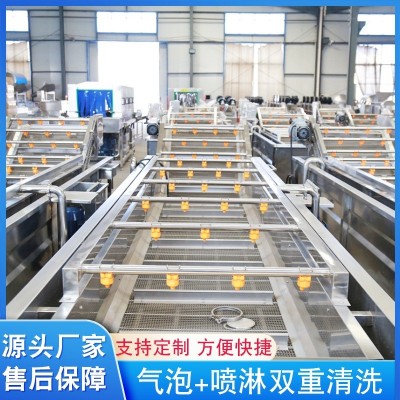 多功能水果气泡清洗机 全自动进出料清洗设备 果蔬气泡清洗机图3