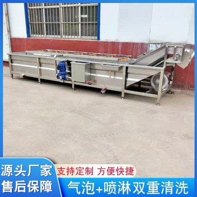 杏鲍菇清洗机 草药半边莲气泡冲浪洗药机 竹节虾清洗机厂家供应图5