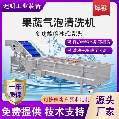 多功能全自动果蔬蔬菜清洗机 气泡式喷淋豆角清洗机 洗菜机设备图2