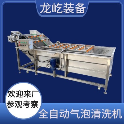 青菜气泡喷淋清洗 红薯喷淋清洗 气泡喷淋清洗设备 果蔬清洗机图3