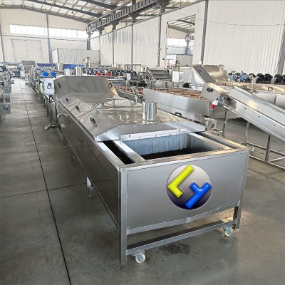 多功能蔬菜清洗机 水果气泡喷淋清洗设备 大型食堂洗菜机图5
