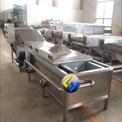 多功能蔬菜清洗机 水果气泡喷淋清洗设备 大型食堂洗菜机图4