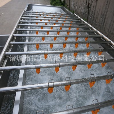 多功能蔬菜清洗机 水果气泡喷淋清洗设备 大型食堂洗菜机图2