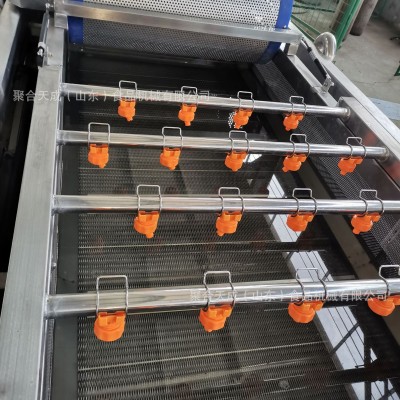 商用果蔬汽泡清洗机 白菜豆芽大姜大型沃柑脐橙枸杞清洗风干设备图5