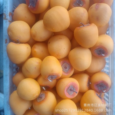 吸盘式柿子专用削皮机全自动水果削皮机橙子猕猴桃去皮机图5