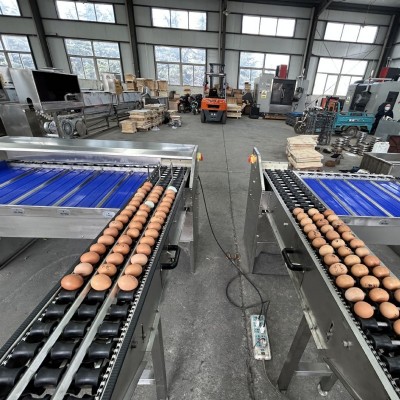 三道五级蛋品分拣机鸡蛋鸭蛋分选机 蛋品分拣设备 厂家供应 特惠图2