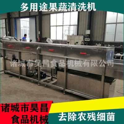 果蔬清洗机 中药材高压喷淋旋流气泡 多功能高效商用毛辊 清洗机