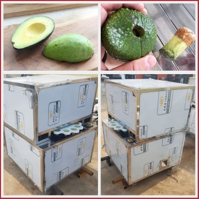 牛油果去核机 小型牛油果去核机 半自动牛油果去核机图5