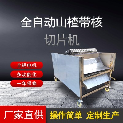 椰枣加工机器全自动不锈钢 海枣果肉分离切片机 商用加工机图5