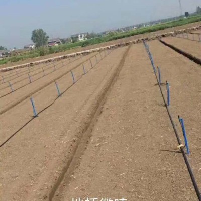 批发 插杆地插微喷1米1.2 大棚可调节雾化旋转微喷 地插旋转微喷图4