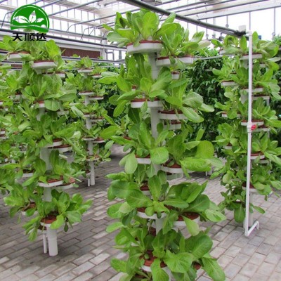 水培蔬菜设备水培种植机阳台种菜机室内 螺旋式蔬菜种植无土栽培