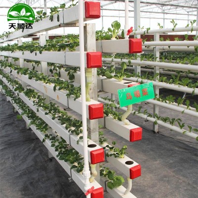 厂家供货无土栽培设备 承接无土栽培工程 生产各种种植槽 水培槽图5
