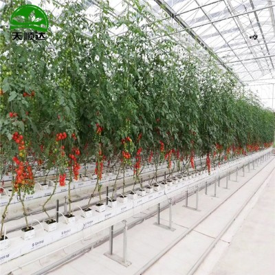 厂家供货无土栽培设备 承接无土栽培工程 生产各种种植槽 水培槽图3