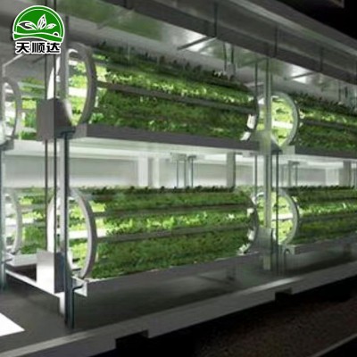 集装箱植物工厂 水培种植蔬菜一体机集成温室无土栽培种植箱图2