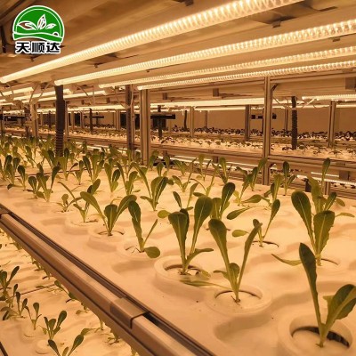 集装箱植物工厂 水培种植蔬菜一体机集成温室无土栽培种植箱图3