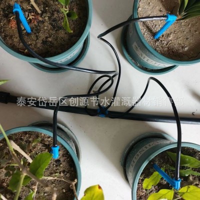 滴箭节水灌溉滴头单出套装园艺用一出二滴水器果树滴剑 花卉滴箭图4