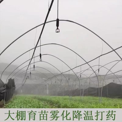 大棚喷头雾化喷头降温农用育苗大棚吊喷微喷头360度旋转吊挂微喷图4