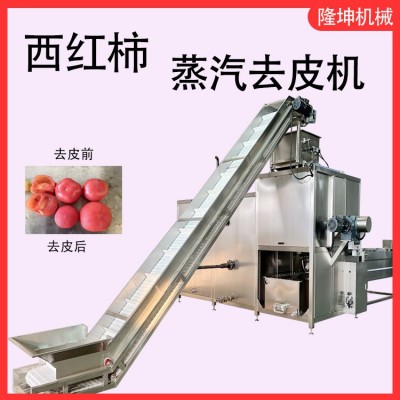 隆坤新型多功能蒸汽去皮机 西红柿全自动蒸汽脱皮机 西红柿蒸汽爆图4