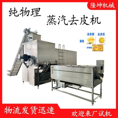 隆坤新型多功能蒸汽去皮机 西红柿全自动蒸汽脱皮机 西红柿蒸汽爆图2