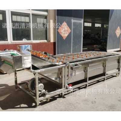 商用酸菜清洗机 连续式酱菜脱盐设备 酱黄瓜加工流水线速度可调图3