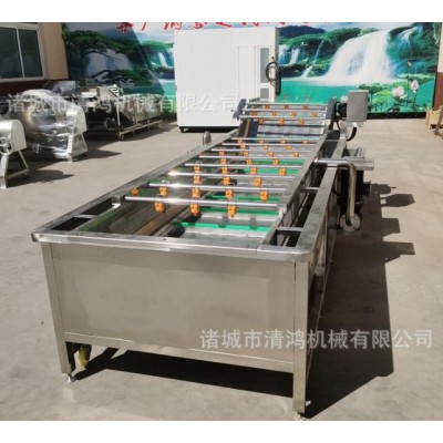 商用酸菜清洗机 连续式酱菜脱盐设备 酱黄瓜加工流水线速度可调图2