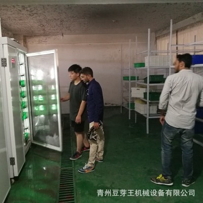 商用豆芽脱皮机 双层黄豆芽去壳机绿豆芽去皮机 复式豆芽振动筛图3