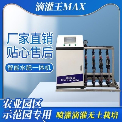 德润达 水肥一体机厂家批发 智能施肥机 自动施肥器图2