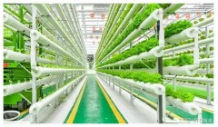 玩转高科技农业：设施农业科学与工程让你成农业界的“科技狂人”