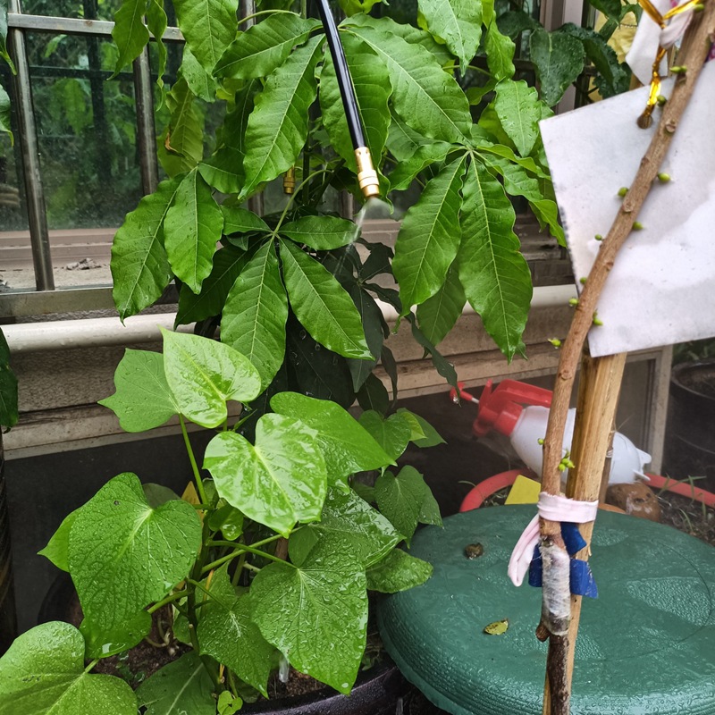 万向喷头安装效果12