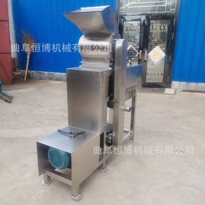 不锈钢苹果榨汁机 大型胡萝卜榨汁机 生姜榨汁机 工业杨梅榨汁机图3