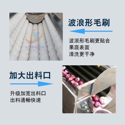 根茎果蔬毛辊清洗机 全自动土豆U型毛辊清洗机 牡蛎去泥清洗机图3