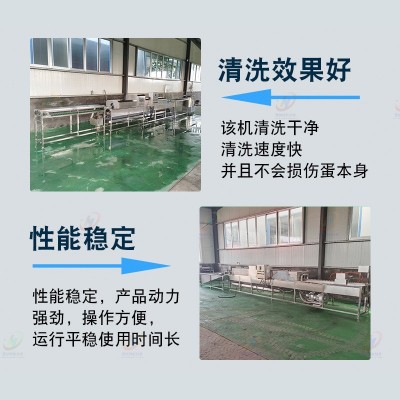 咸鸭蛋不锈钢清洗机 蛋类加工生产线 全自动不锈钢蛋品清洗设备图2