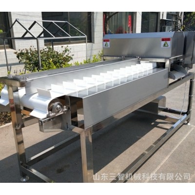定制蕨菜双刀切根机 多功能蔬菜切根流水线图4