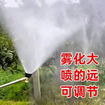 黑旋风雾化打药喷头农用可调节高压喷头防风可调机动喷雾器配件大图2
