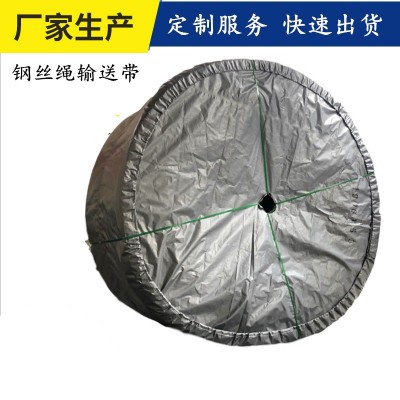 耐热耐高温输送带耐寒阻燃耐热钢丝绳芯输送带防撕裂高质量输送带图2