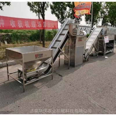 供应全自动链条大蒜脱皮机 蒜米加工生产线图4