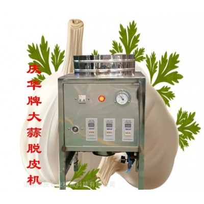 供应庆华 QH-300大蒜脱皮机 蒜米去皮机图4