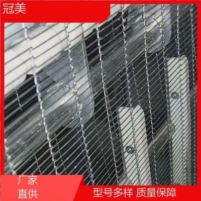 冠美 厂家非标定制 乙型网带输送 经久耐磨 食品加工网链带图4